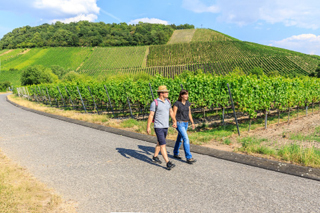 Auf Wanderungen durch das Weinparadies Franken wie hier am Hüttenheimer Tannenberg, kann man herrliche Aussichten genießen.